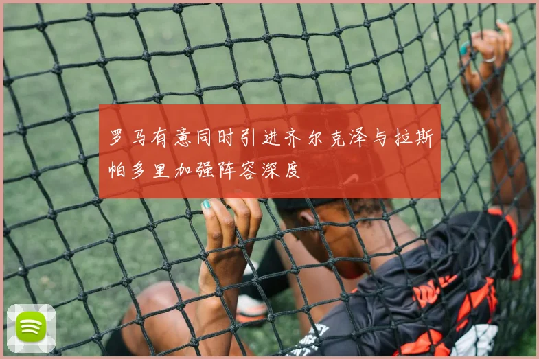 罗马有意同时引进齐尔克泽与拉斯帕多里加强阵容深度