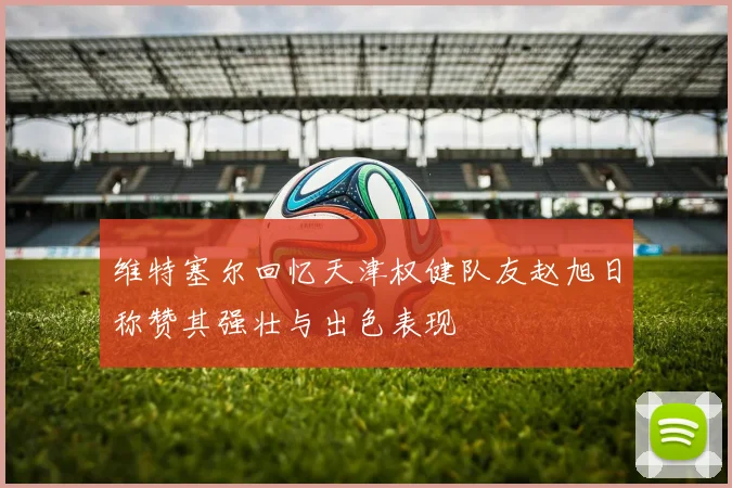 维特塞尔回忆天津权健队友赵旭日称赞其强壮与出色表现
