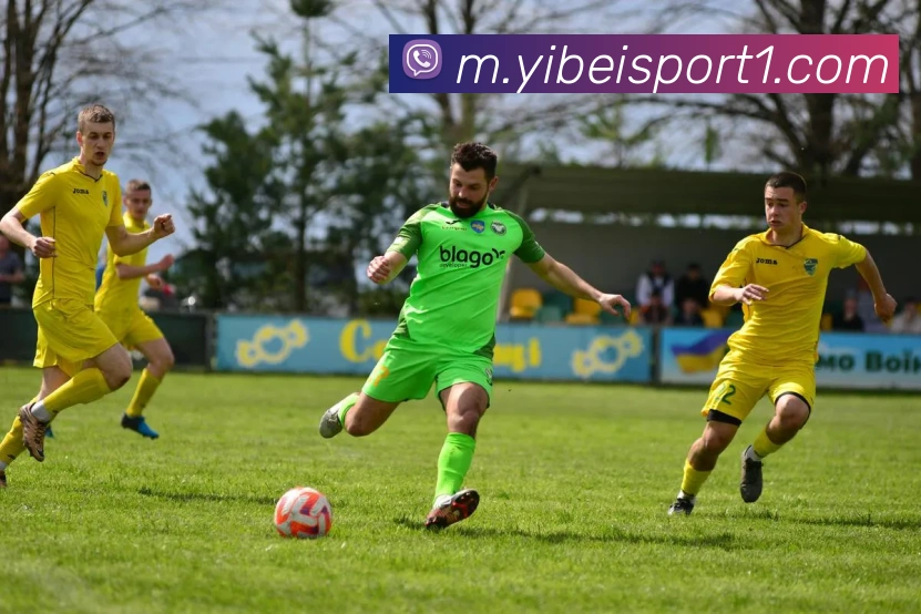 易倍体育服务体系