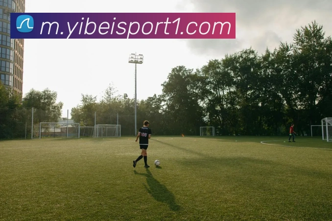 多媒体互动体验