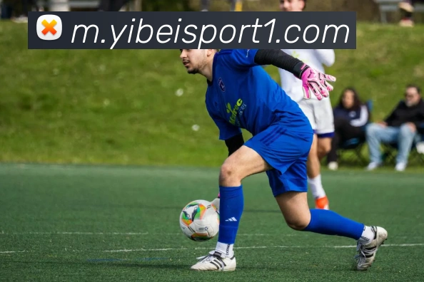 易倍体育APP 体育赛事宣传图